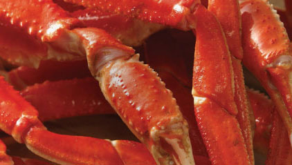 Snow Crab