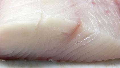 Atlantic Halibut