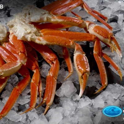 01_snow_crab