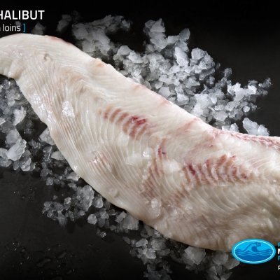 04_halibut_fresh_frozen_loins