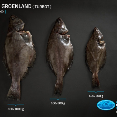 02_turbot_entier_surgele_poids