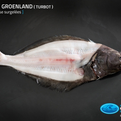 04_turbot_tete_carcasse_surgelees