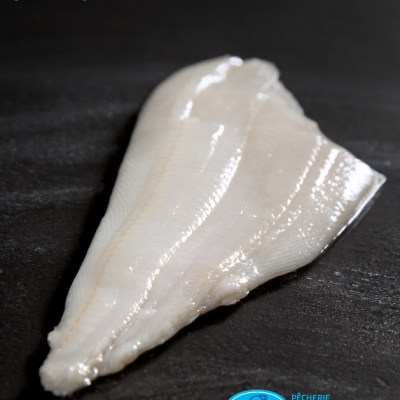 05_turbot_fresh_filet